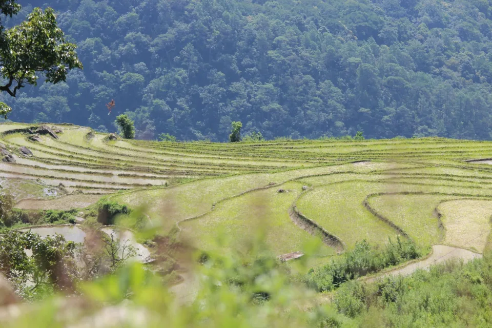 Kho gạo của Lê Một